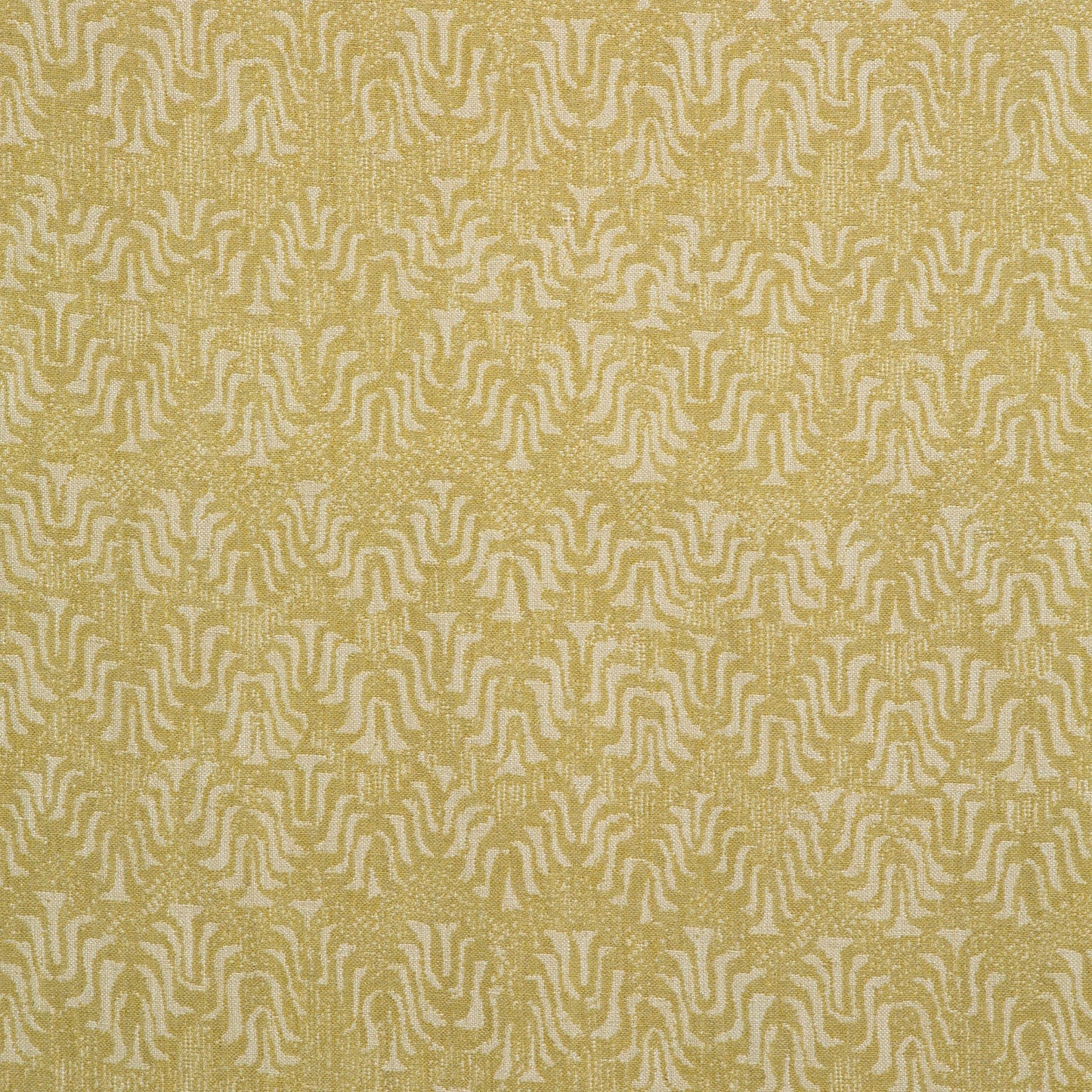 Tyger Maize
