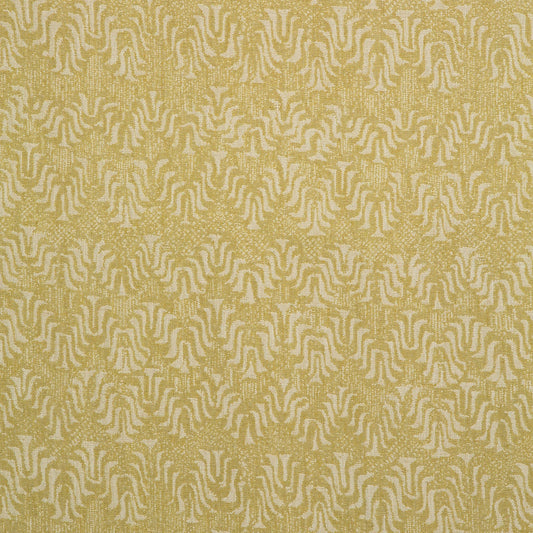 Tyger Maize