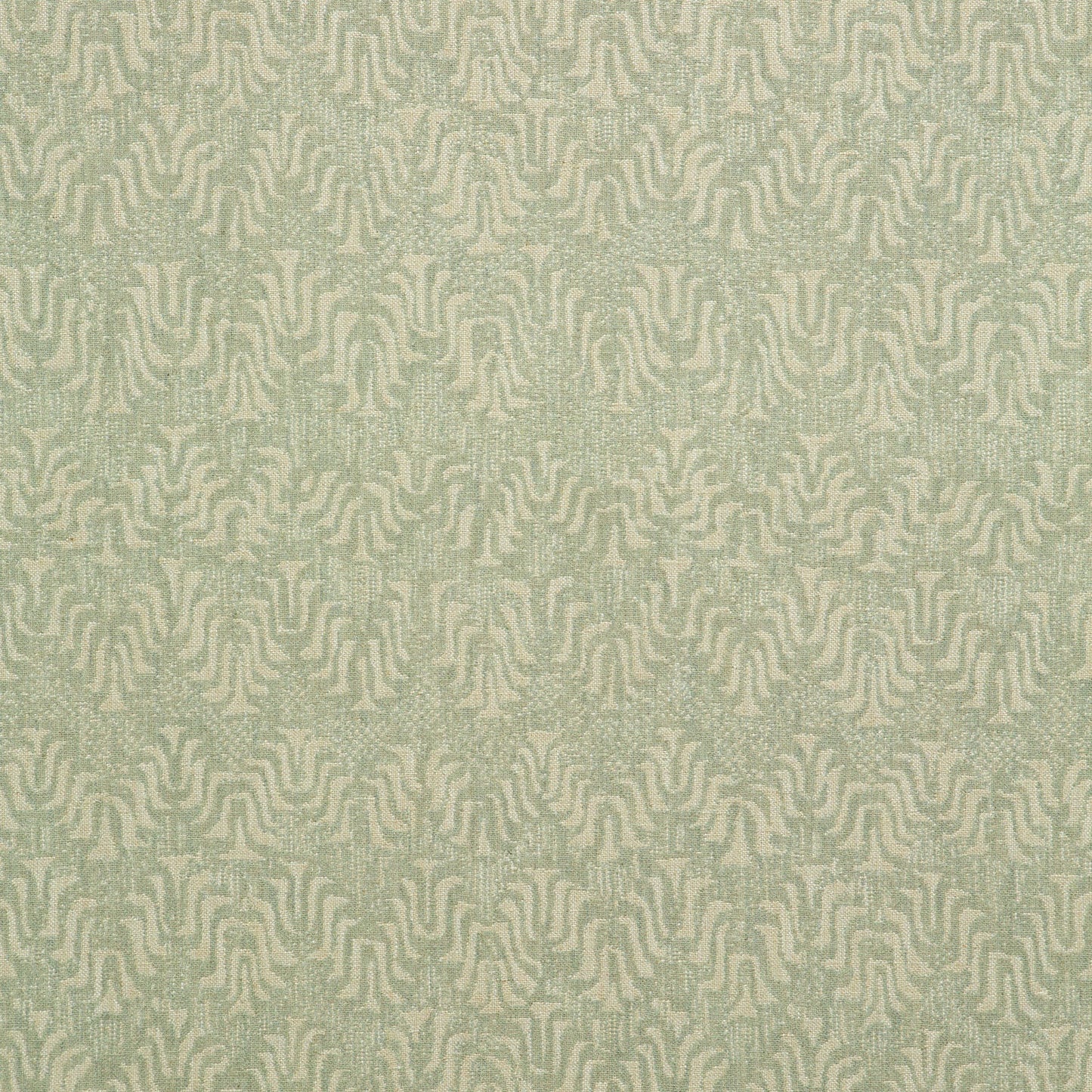 Tyger Tranquil